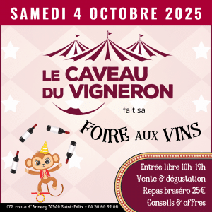 foire aux vins 2025