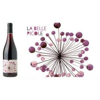 La Belle Picole, Colline de l'Hirondelle