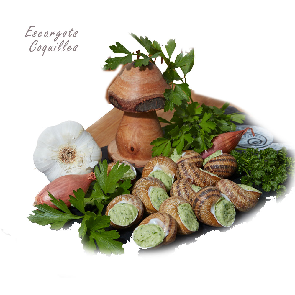 Escargots de Bourgogne, ASSIETTE COQUILLE - la douzaine (SURGELE
